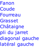 Fanon Coude Fourreau Grasset Châtaigne pli du jarret diagonal gauche latéral gauche