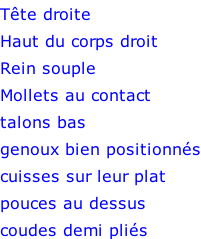 Tête droite Haut du corps droit Rein souple Mollets au contact talons bas genoux bien positionnés cuisses sur leur plat pouces au dessus coudes demi pliés